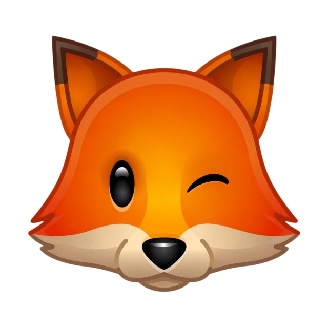 LiS VPN
